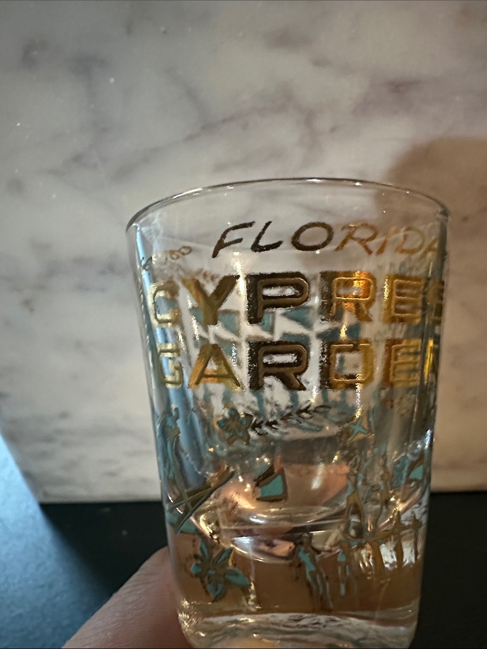 Florida Cypress Gardens Gold & Teal Decorative Shot Glass